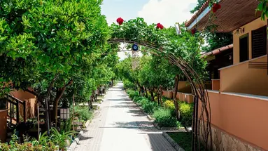 Ozlem Garden