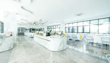P Plus