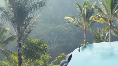 Padma Ubud