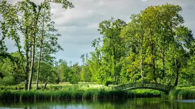 Pałac Komierowo