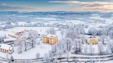 Pałac Łomnica