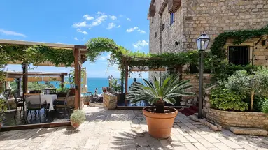 Palata Venezia