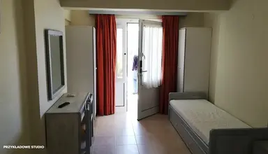 Palatino