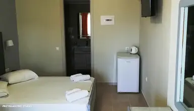 Palatino