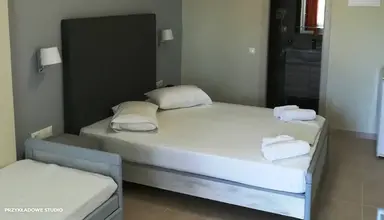 Palatino