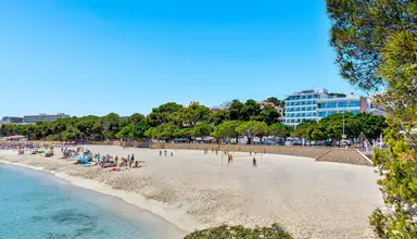 Palia Tropico Playa