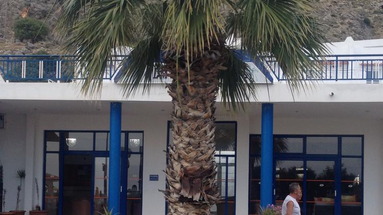 Palm Bay Hotel