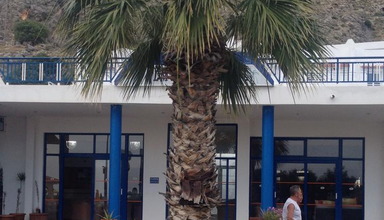 Palm Bay Hotel