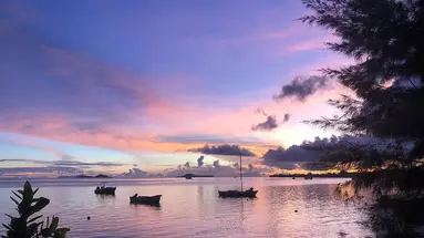 Palm Beach (Praslin)