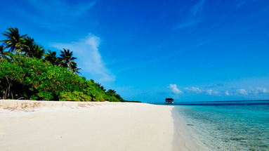 Palm Beach Resort