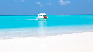 Palm Beach Resort