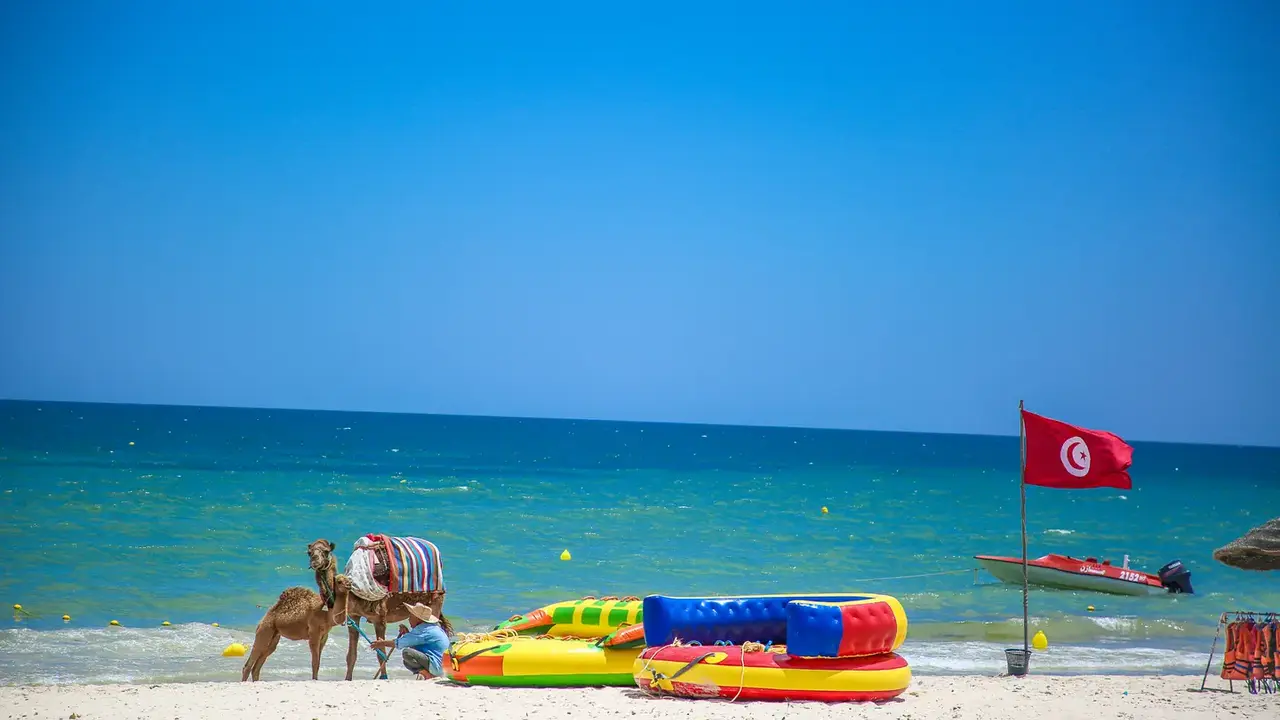 Palm Beach Skanes