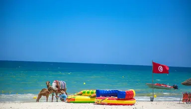 Palm Beach Skanes