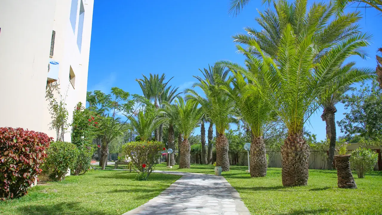 Palm Beach Skanes