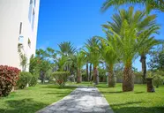 Palm Beach Skanes