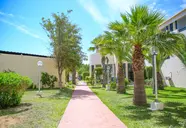 Palm Beach Skanes