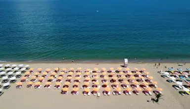 Palm Beach