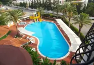 Palm d'Or
