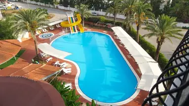 Palm d'Or