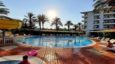 Palm d'Or