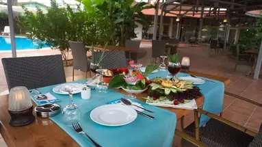 Palm d'Or