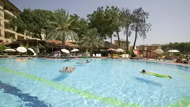 Palm d'Or