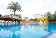 Palm d'Or