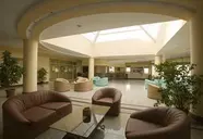 Palm d'Or