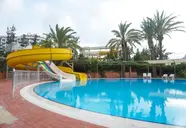 Palm d'Or