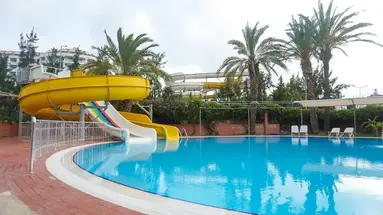 Palm d'Or