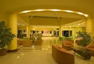 Palm d'Or