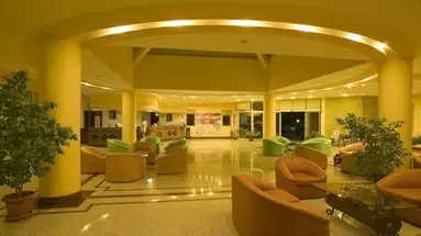 Palm d'Or