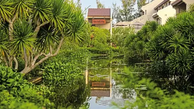 Palm Garden Beach Resort