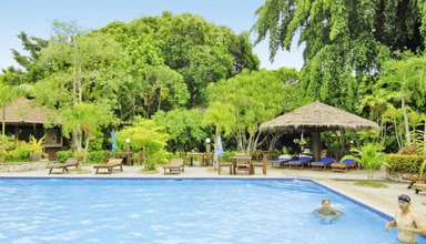 Palm Garden (Pattaya)