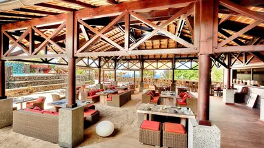 Palm (Grande Anse)