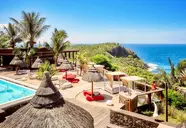 Palm (Grande Anse)