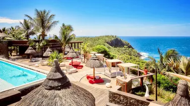 Palm (Grande Anse)