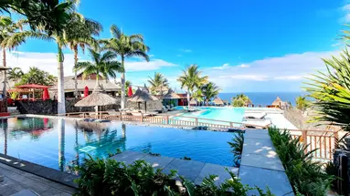 Palm (Grande Anse)