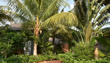 Palm Hill Resort Phu Quoc