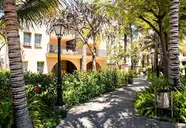 Palm Oasis Maspalomas