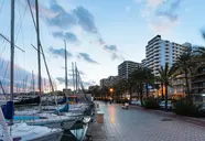 Palma Bellve