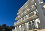 Palma Mazas