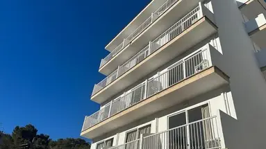 Palma Mazas