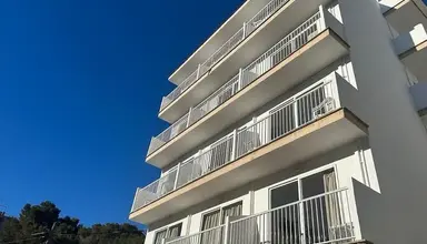 Palma Mazas
