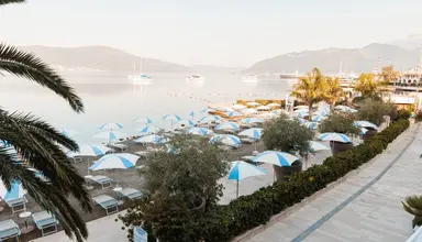 Palma (Tivat)