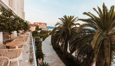 Palma (Tivat)