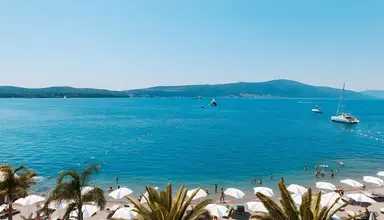 Palma (Tivat)