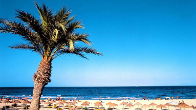 Palmera Beach