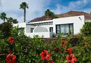 Palmeras Garden