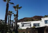 Palmeras Garden